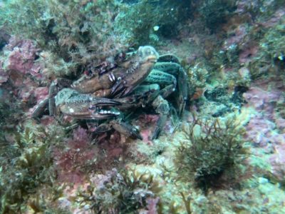 263418703_397161641998206_8296603524027539282_n