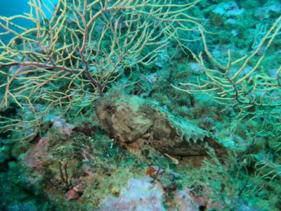 274210709_447357270311976_2275596463601617355_n