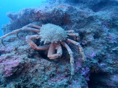 277572696_476647604049609_2218486475532099673_n