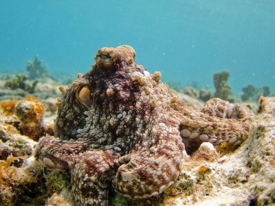 314724839_561753915956405_2809037746800564808_n